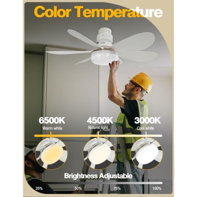 20 in. Screw In Socket Ceiling Fan for Kitchen Bedroom Dining Room Living Room Office, Remote Control Ceiling Fan and Light