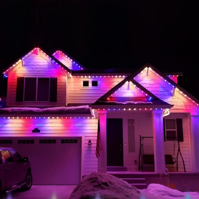 High Brightness LED Christmas Lights, Low Power, Long Life, Waterproof Outdoor Strip Lights with Rich Colors, Anti-Rust Aluminum, 12V Compatible