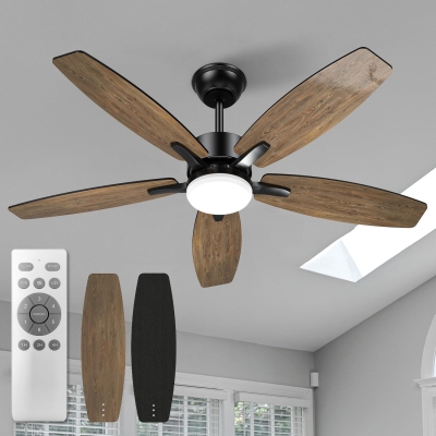 42 in. Indoor Outdoor Small Black Ceiling Fan with Remote, Reversible Modern Fan Light for Bedroom Living Room Kitchen