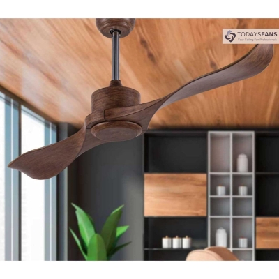 Contemporary Elegant 2-Blade Ceiling Fan with Remote and Wall Control, 5 Speed Settings
