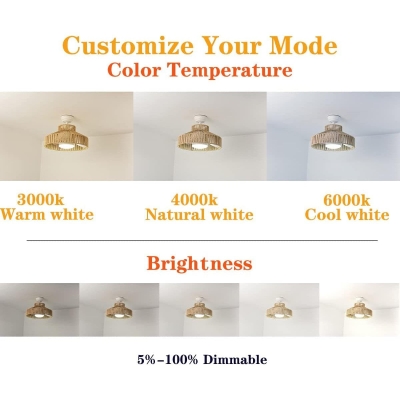 Boho Caged Dimmable Ceiling Fandelier with Light Fixture and Remote Control, 3 Blades Small Caged Ceiling Fan for Bedroom Kitchen Dining Room