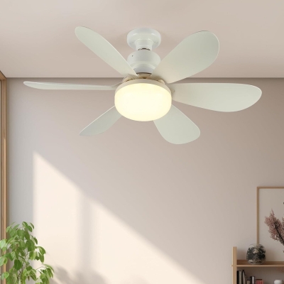 20 in. Socket Remote Ceiling Fan with Light, White Screw in. Dimmable Ceiling Fan