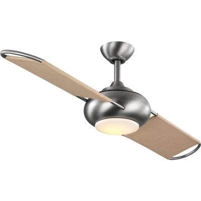54 in. 2-Blade Outdoor Ceiling Fan with LED Light and Reversible Motor