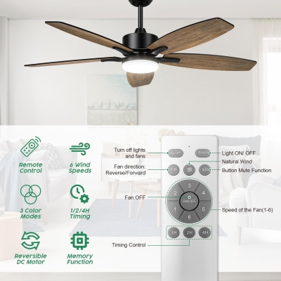 42 in. Indoor Outdoor Small Black Ceiling Fan with Remote, Reversible Modern Fan Light for Bedroom Living Room Kitchen