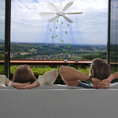 Portable Remote Control Fan, Silent Small DC Ceiling Fan, Hanging Fan for Rv Trailer Camping Tent Cruise Room Home, Outdoor Fan for Gazebo