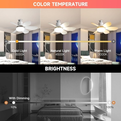 20.5 in. Small Screw In Ceiling Fan with Light, Socket Fan Light with Remote, Bathroom Bedroom Kitchen Ceiling Fans for Low Ceiling