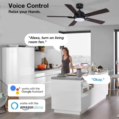 52 in. Smart Reversible Quiet Ceiling Fans with Light, Modern Ceiling Fan with Voice Wi-Fi Alexa APP Remote Control, Farmhouse Black Outdoor Ceiling Fan