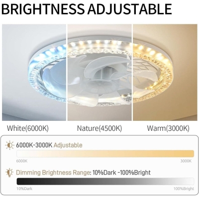 Ceiling Fans with Lights and Remote, Socket Modern Fan with Light, Living Room Ceiling Fan with Light, Kitchen Bedroom Dining Room Ceiling Fans