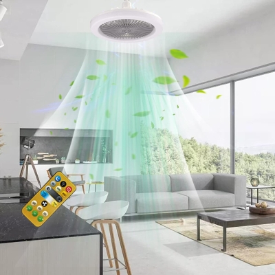 10 in. Mini Ceiling Fan for Kitchen Bathroom Pantry Tool Room Store Room Closet Laundry Room, Black Enclosed Socket Ceiling Fan with Lights and Remote